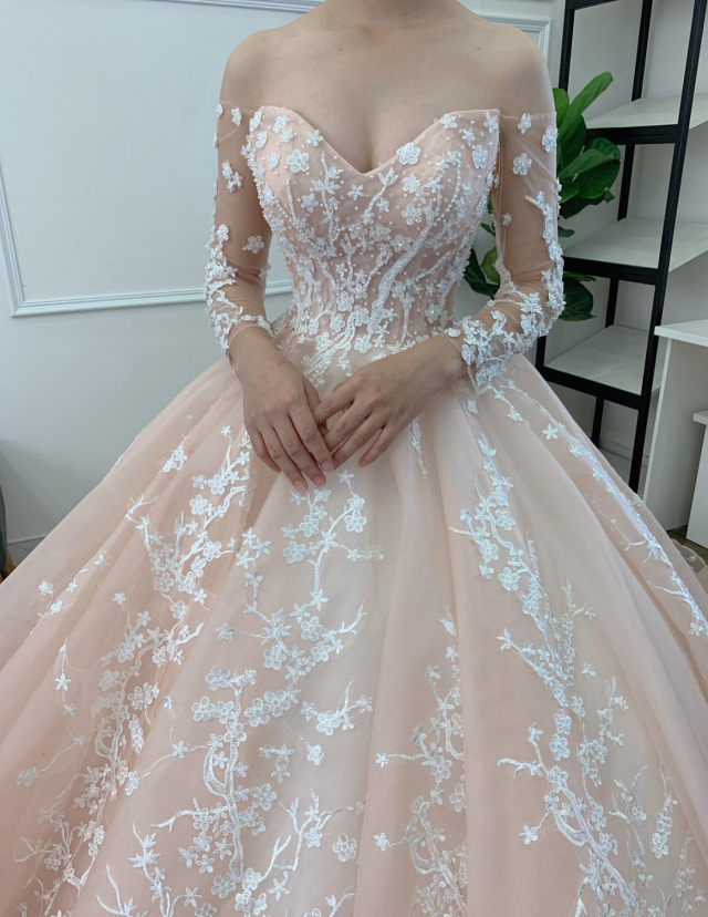 Gracious long sleeves 3D floral lace applique light pink ball gown
