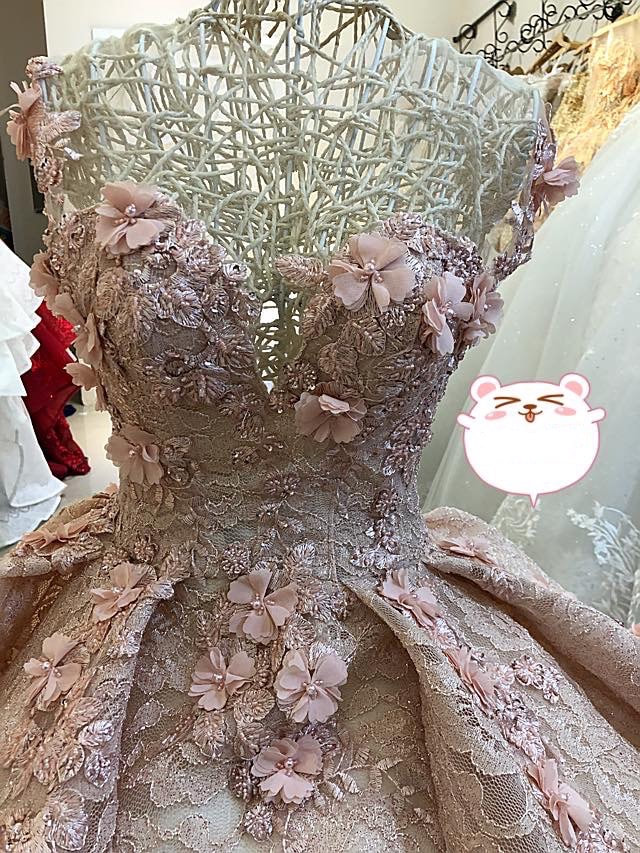 Romantic light pink floral lace applique ball gown or A-line