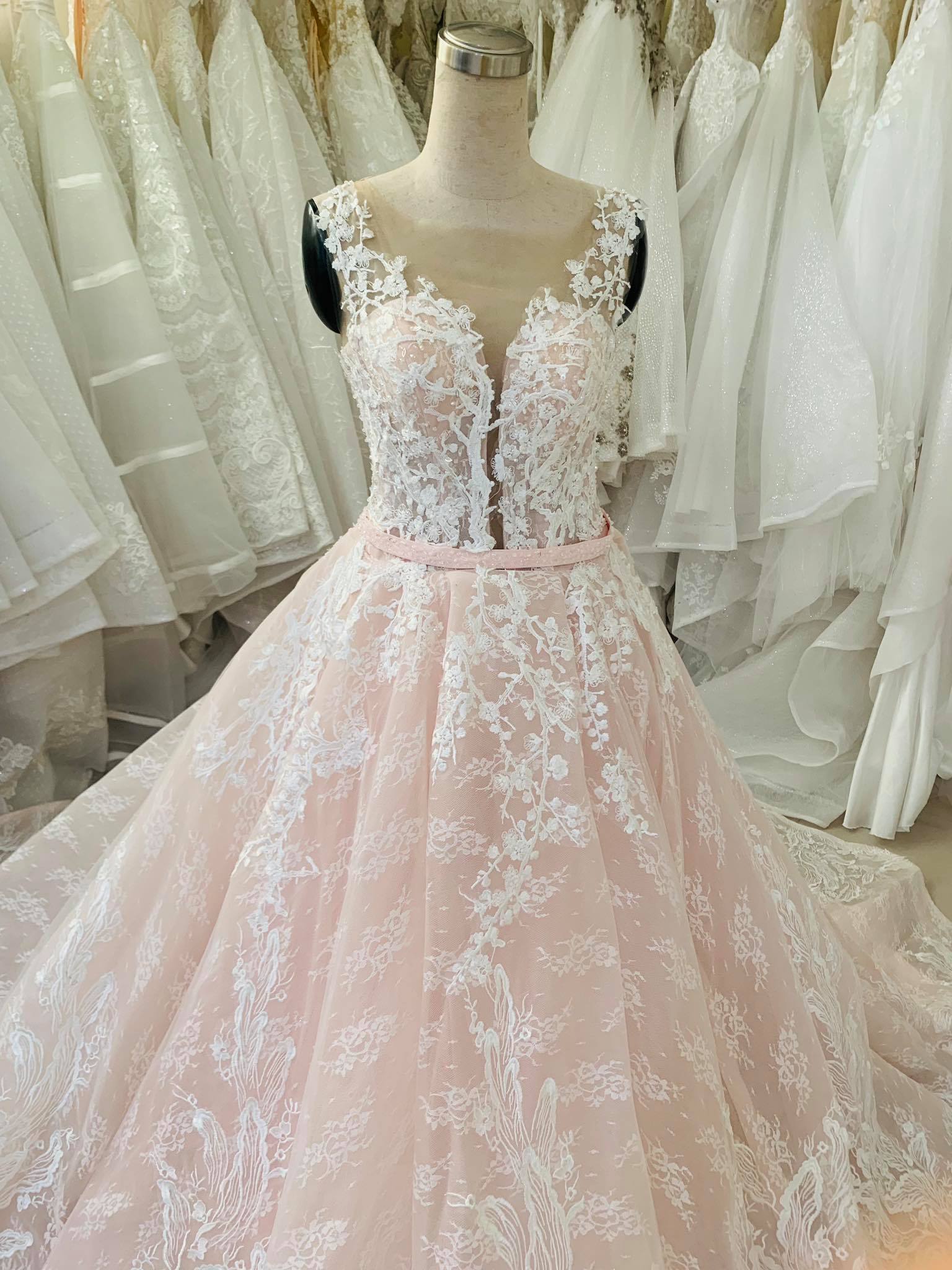 Princess Long V Neck A-line Light Lavender Wedding Dress with Lace –  FancyVestido