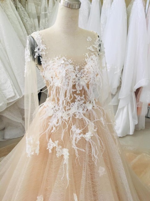 Nude beige/coffee long sleeves or sleeveless lace ball gown wedding ...