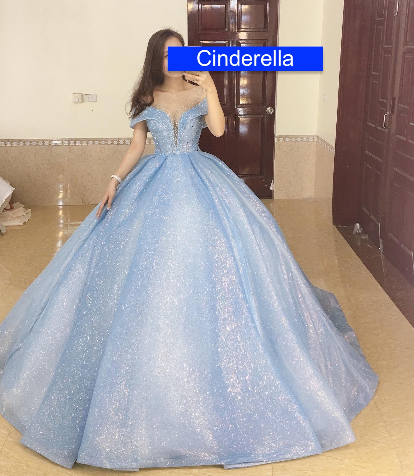cinderella inspired gown