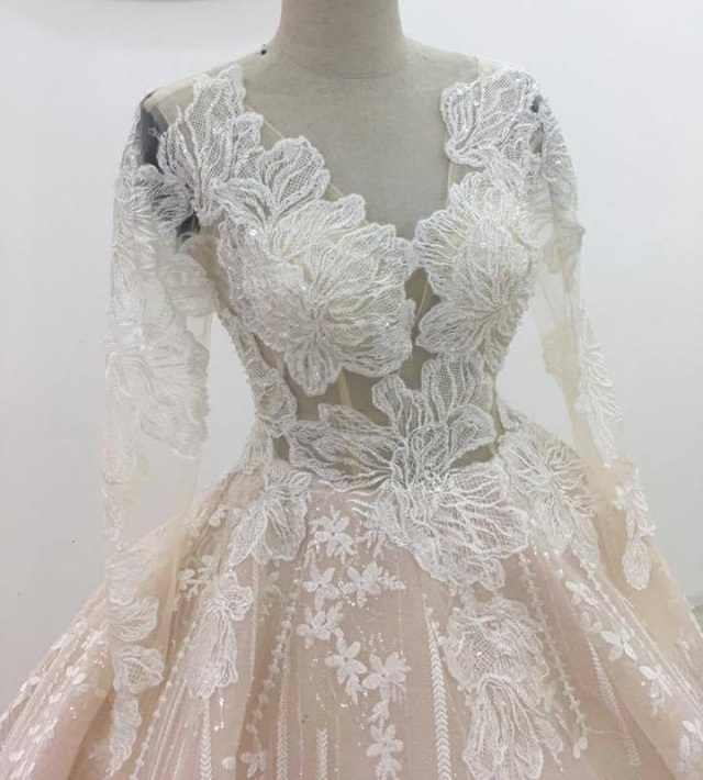 Delicate champagne or white long sleeves floral lace ball gown wedding ...